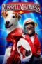 Nonton film Streaming Russell Madness (2015) subtitle Bahasa Indonesia Nonton film Streaming Russell Madness (2015) subtitle Bahasa Indonesia