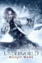 Nonton film Streaming Underworld: Blood Wars (2016) subtitle Bahasa Indonesia Nonton film Streaming Underworld: Blood Wars (2016) subtitle Bahasa Indonesia