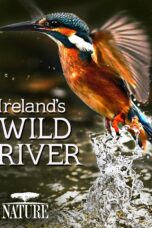 Nonton film Streaming Ireland’s Wild River (2014) subtitle Bahasa Indonesia