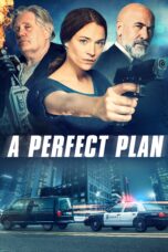 Nonton film Streaming A Perfect Plan (2020) subtitle Bahasa Indonesia