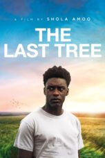 Nonton film Streaming The Last Tree (2019) subtitle Bahasa Indonesia