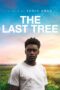 Nonton film Streaming The Last Tree (2019) subtitle Bahasa Indonesia