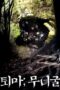 Nonton film Streaming The Chosen: Forbidden Cave (2015) subtitle Bahasa Indonesia Nonton film Streaming The Chosen: Forbidden Cave (2015) subtitle Bahasa Indonesia