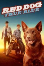 Nonton film Streaming Red Dog: True Blue (2016) subtitle Bahasa Indonesia