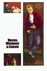Nonton film Streaming Rebel Without a Cause (1955) subtitle Bahasa Indonesia