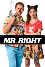 Nonton film Streaming Mr. Right (2016) subtitle Bahasa Indonesia