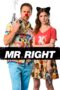 Nonton film Streaming Mr. Right (2016) subtitle Bahasa Indonesia