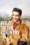 Nonton film Streaming Wild in the Country (1961) subtitle Bahasa Indonesia