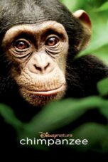 Nonton film Streaming Chimpanzee (2012) subtitle Bahasa Indonesia