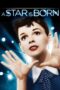 Nonton film Streaming A Star Is Born (1954) subtitle Bahasa Indonesia